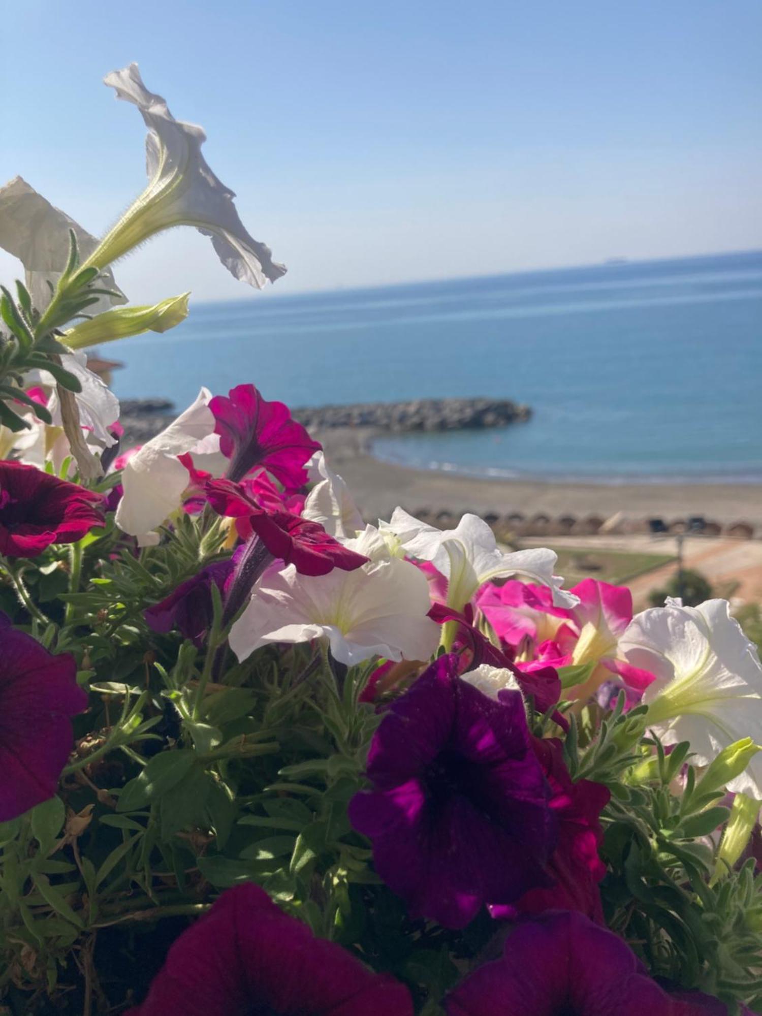 살레르노 Viva La Nonna 아파트 외부 사진